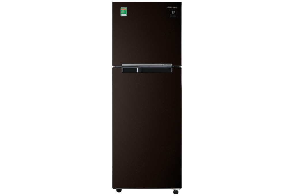 Tủ lạnh Samsung Inverter 236 lít RT22M4032BY/SV Model 2020